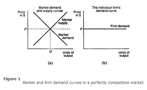 The Demand Curve For A Perfectly Competitive Market Is