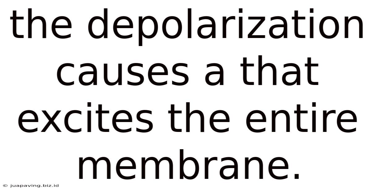 The Depolarization Causes A That Excites The Entire Membrane.