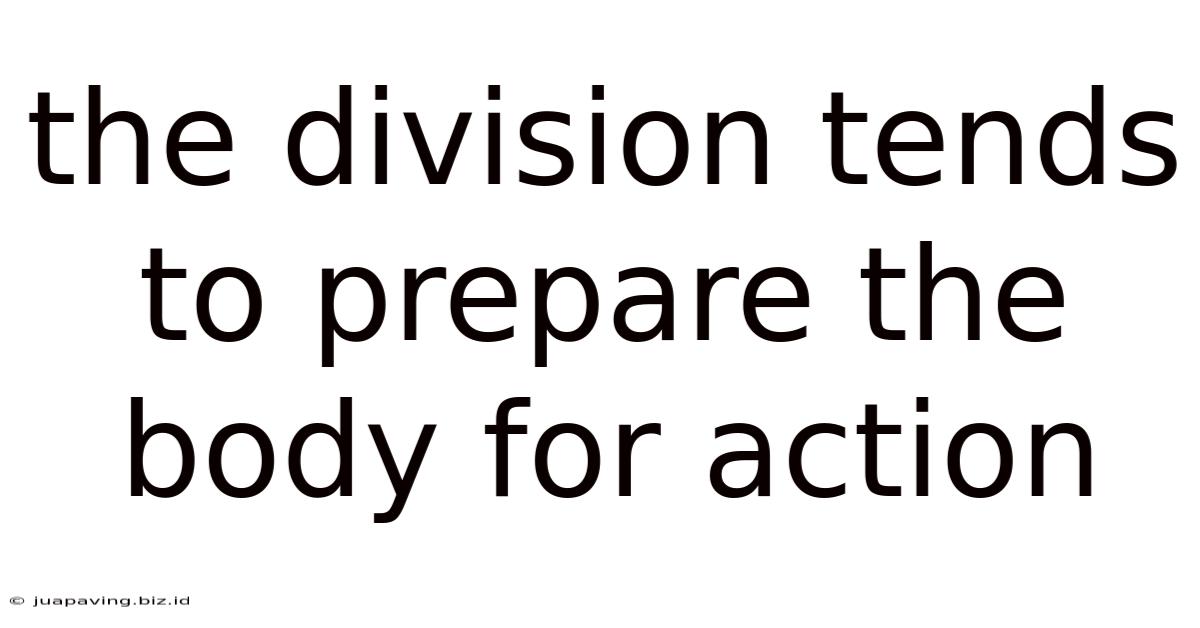 The Division Tends To Prepare The Body For Action