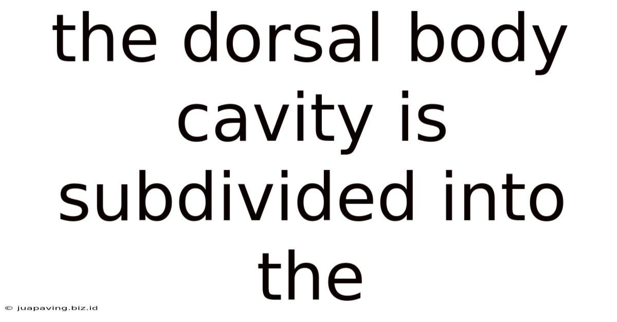 The Dorsal Body Cavity Is Subdivided Into The