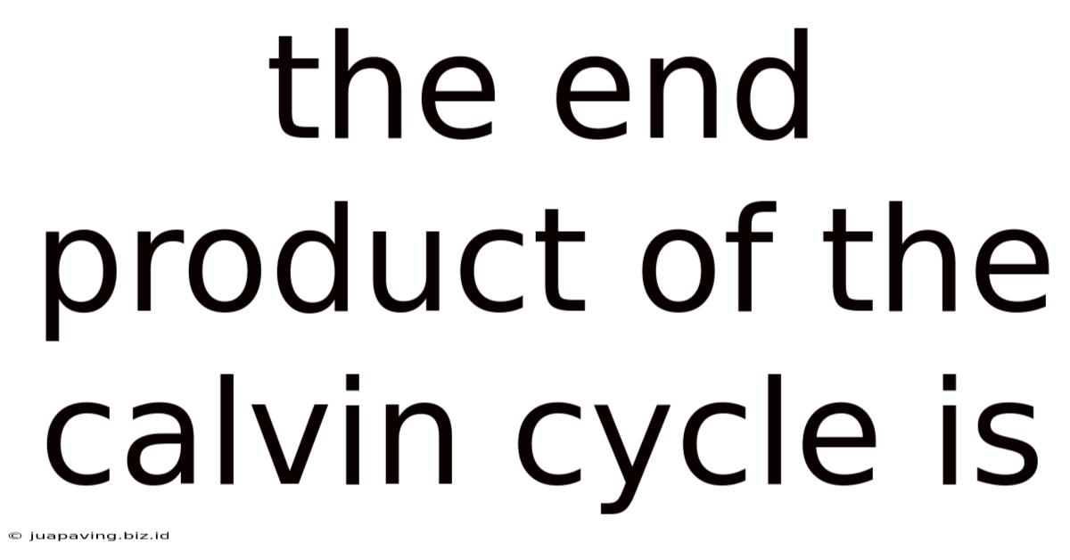 The End Product Of The Calvin Cycle Is