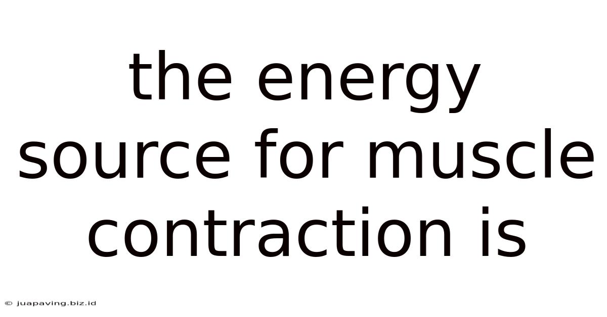 The Energy Source For Muscle Contraction Is