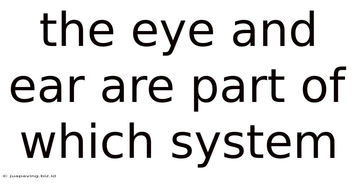 The Eye And Ear Are Part Of Which System