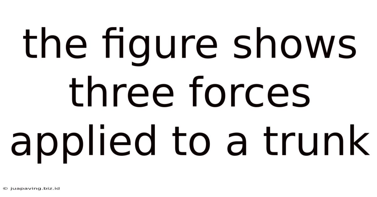 The Figure Shows Three Forces Applied To A Trunk
