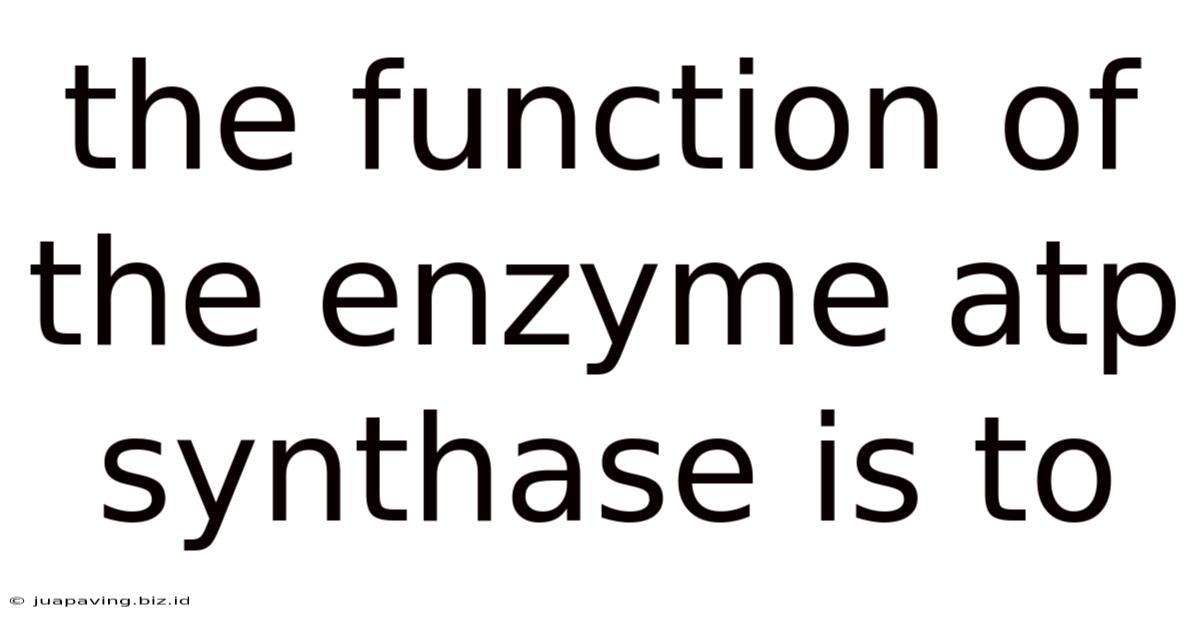 The Function Of The Enzyme Atp Synthase Is To