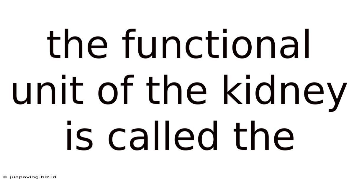 The Functional Unit Of The Kidney Is Called The