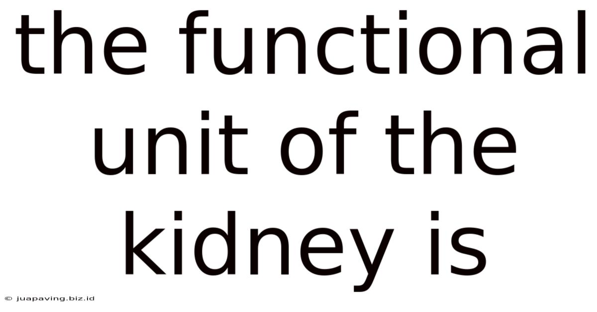 The Functional Unit Of The Kidney Is