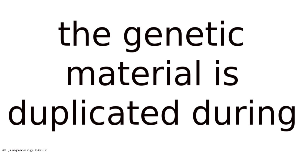 The Genetic Material Is Duplicated During