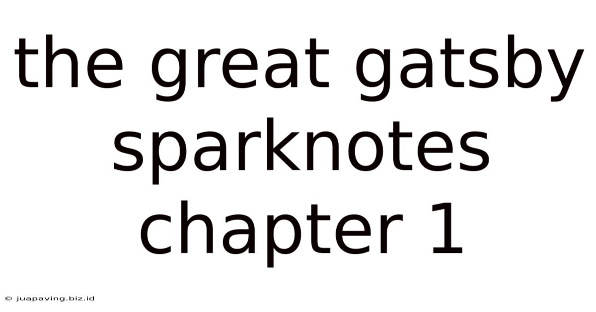 The Great Gatsby Sparknotes Chapter 1