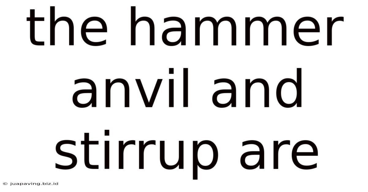 The Hammer Anvil And Stirrup Are