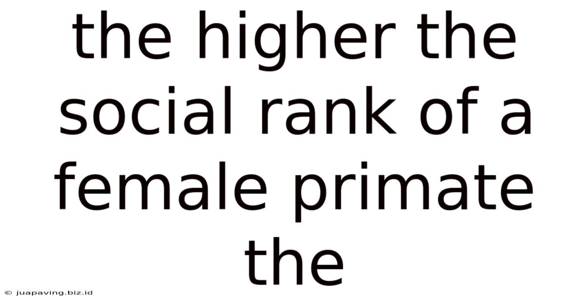 The Higher The Social Rank Of A Female Primate The