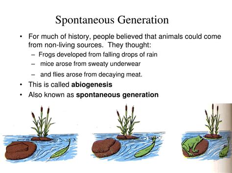 The Idea Of Spontaneous Generation Postulated That