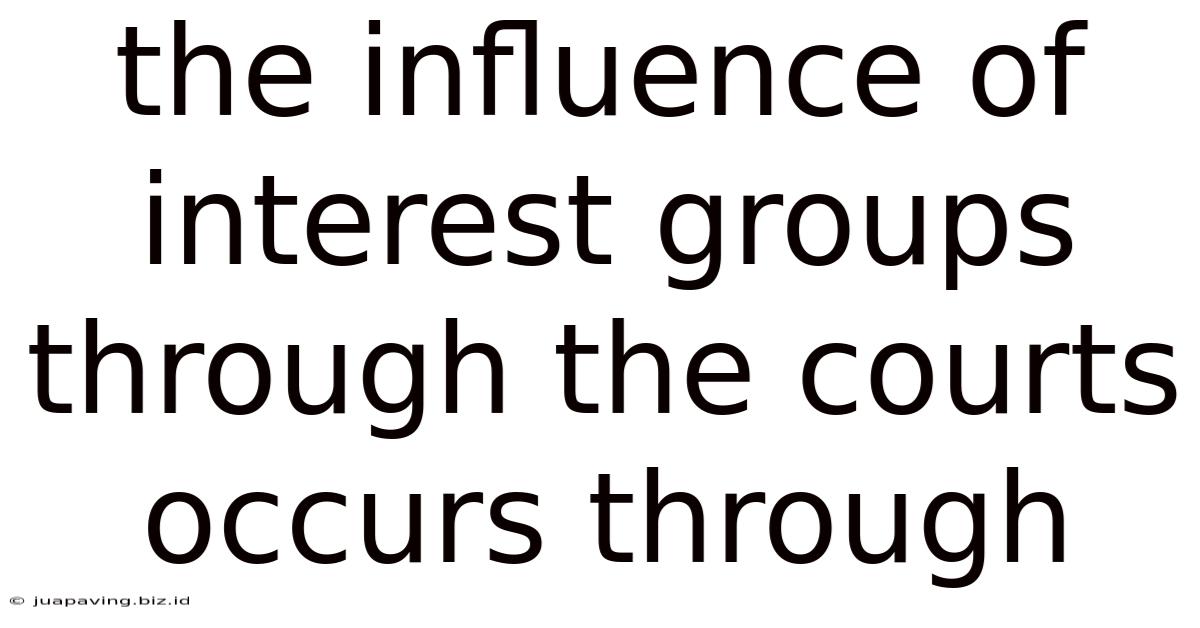 The Influence Of Interest Groups Through The Courts Occurs Through