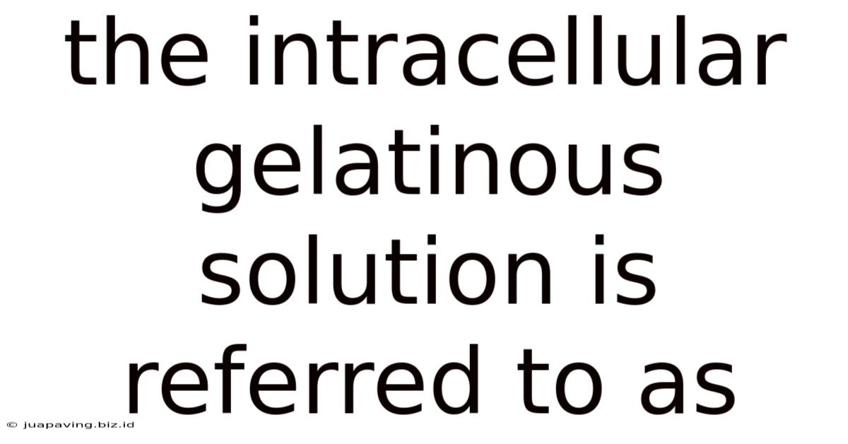 The Intracellular Gelatinous Solution Is Referred To As
