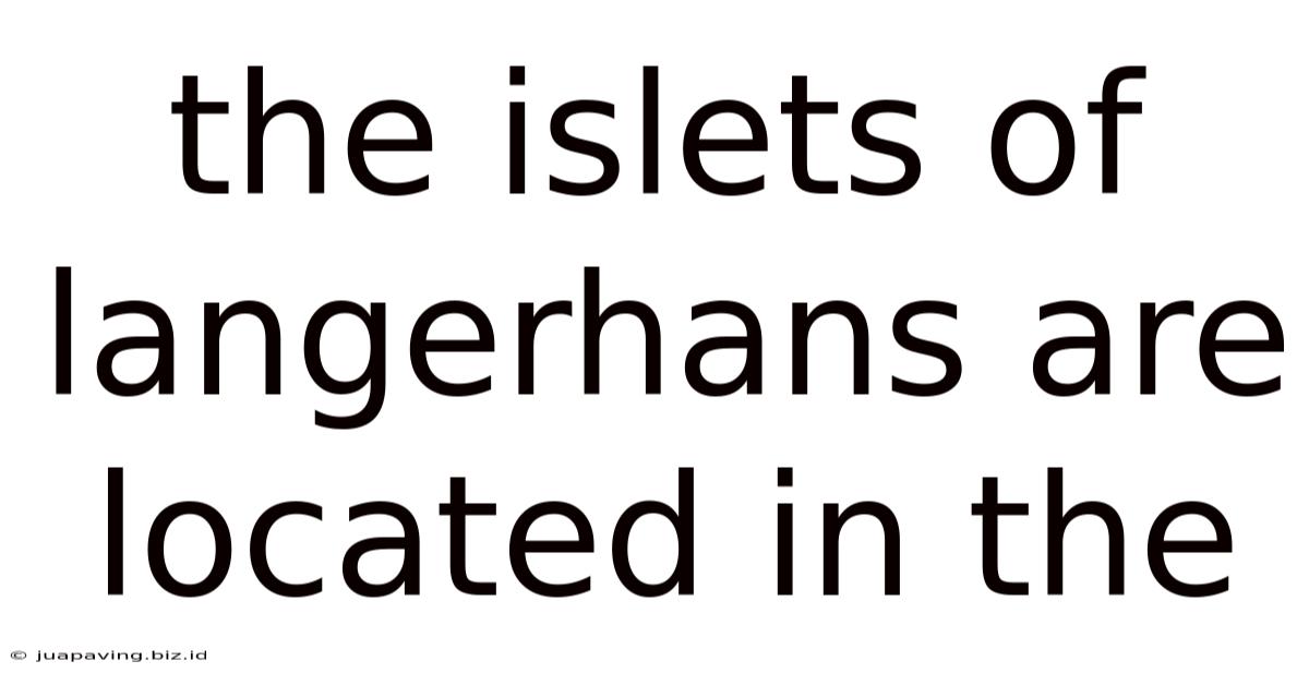 The Islets Of Langerhans Are Located In The