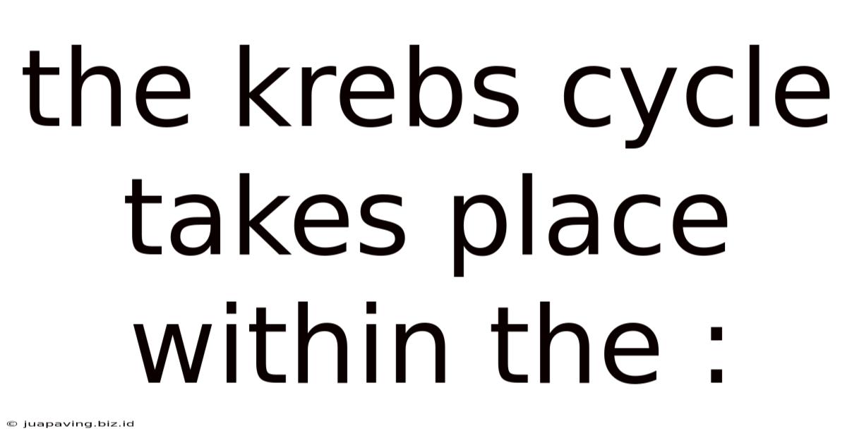 The Krebs Cycle Takes Place Within The :