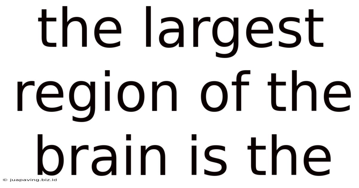 The Largest Region Of The Brain Is The