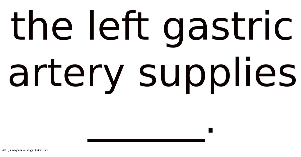 The Left Gastric Artery Supplies ______.