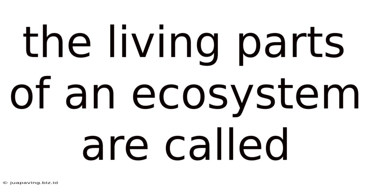 The Living Parts Of An Ecosystem Are Called