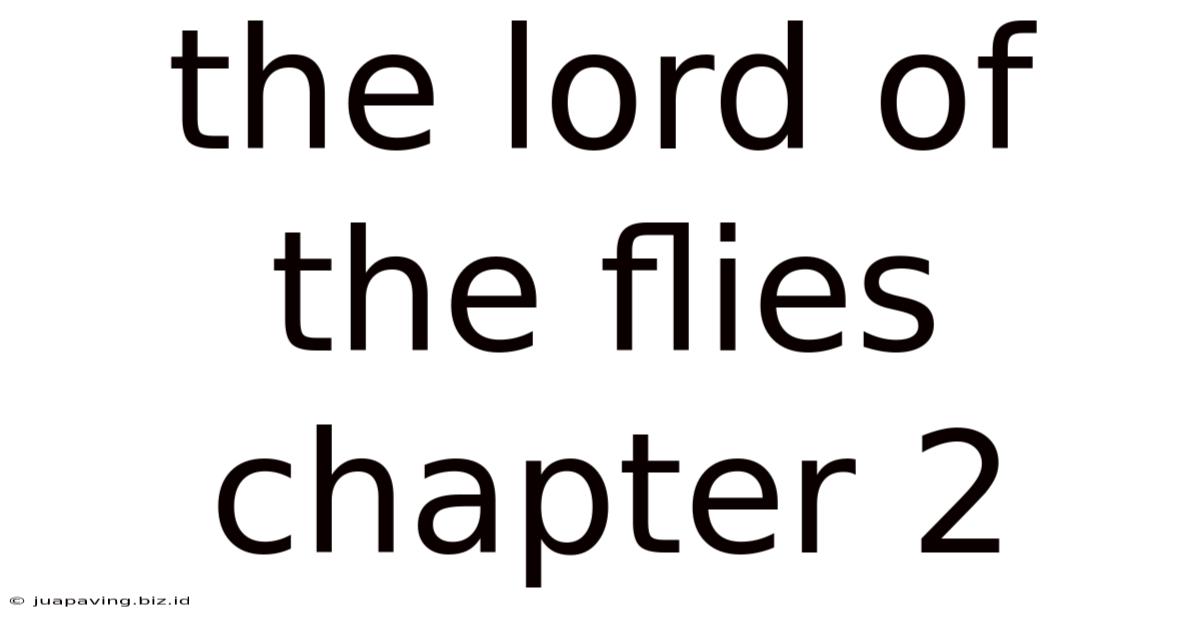 The Lord Of The Flies Chapter 2