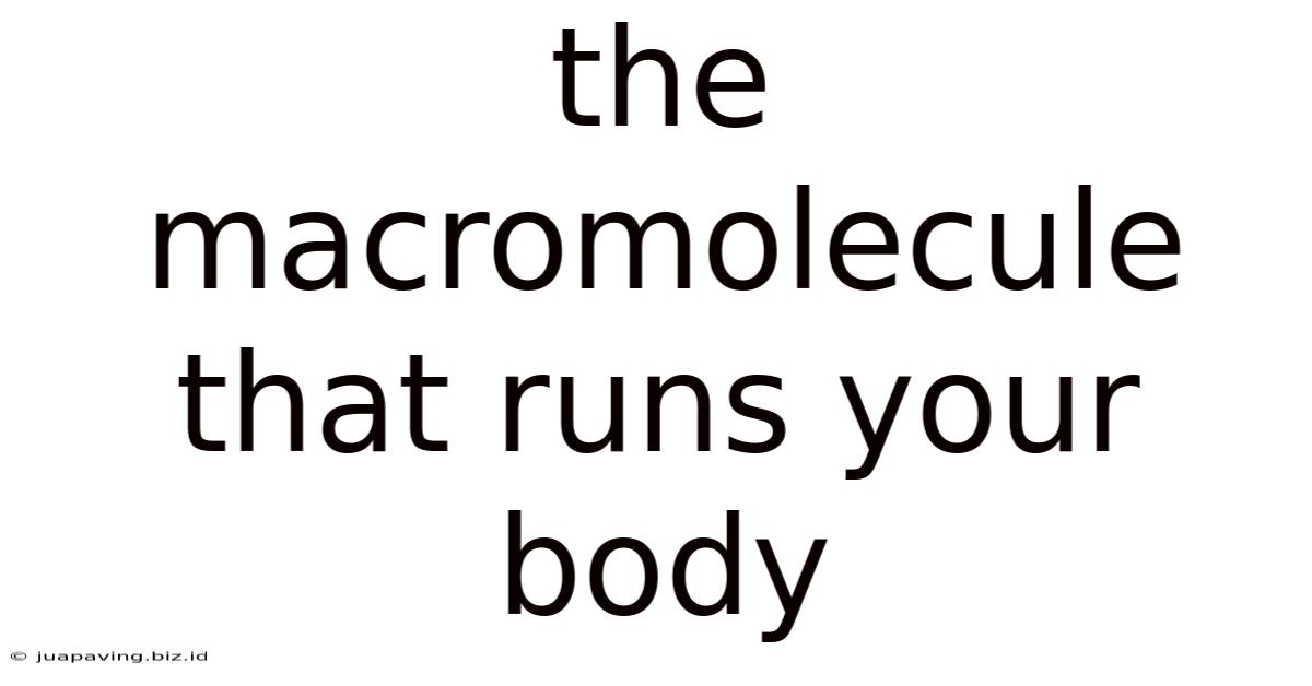The Macromolecule That Runs Your Body