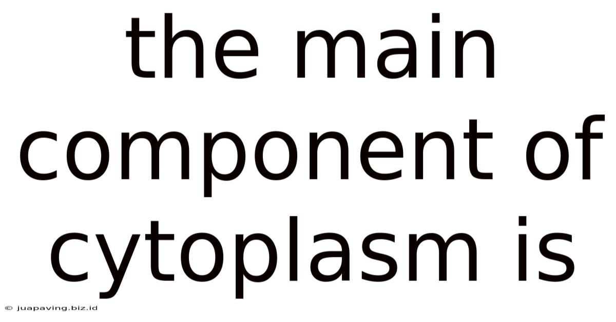 The Main Component Of Cytoplasm Is