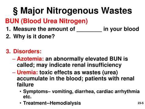 The Main Nitrogenous Waste In Urine Is