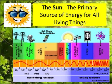 The Main Source Of Energy For All Life Comes From