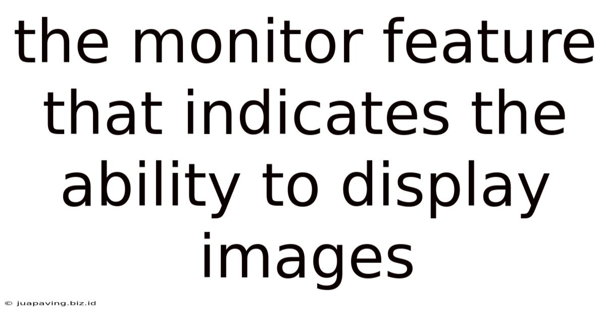 The Monitor Feature That Indicates The Ability To Display Images