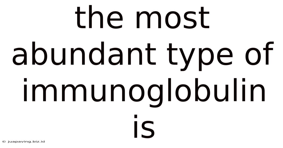 The Most Abundant Type Of Immunoglobulin Is