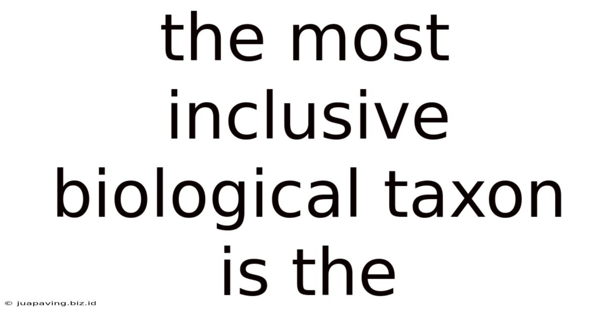 The Most Inclusive Biological Taxon Is The
