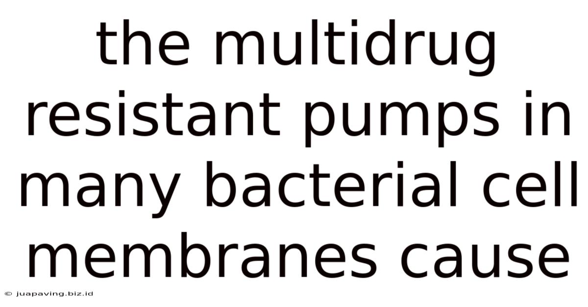 The Multidrug Resistant Pumps In Many Bacterial Cell Membranes Cause
