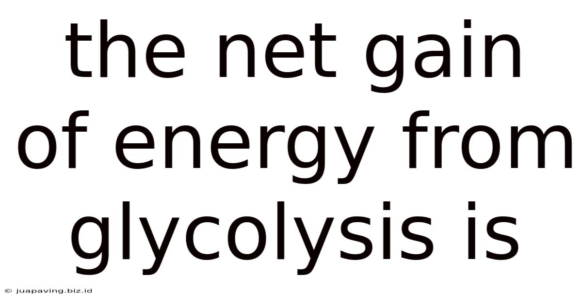 The Net Gain Of Energy From Glycolysis Is