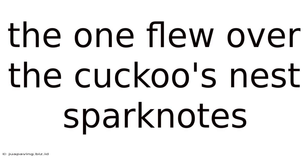 The One Flew Over The Cuckoo's Nest Sparknotes
