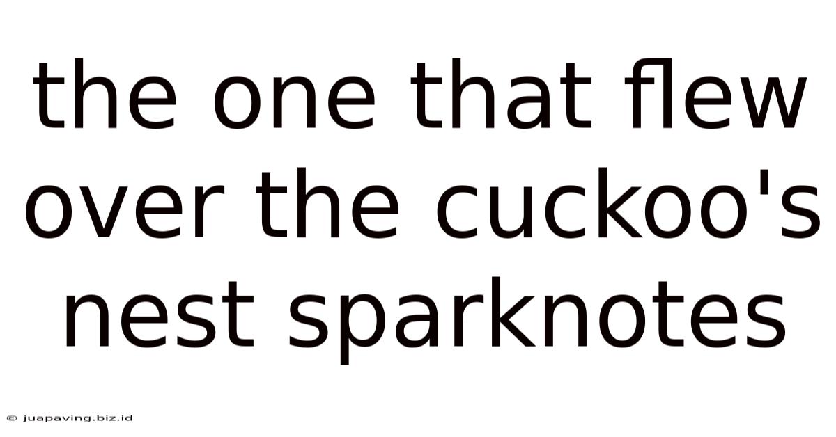 The One That Flew Over The Cuckoo's Nest Sparknotes