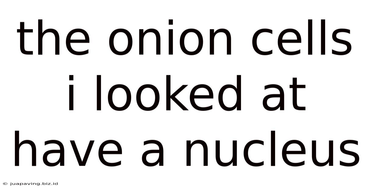 The Onion Cells I Looked At Have A Nucleus