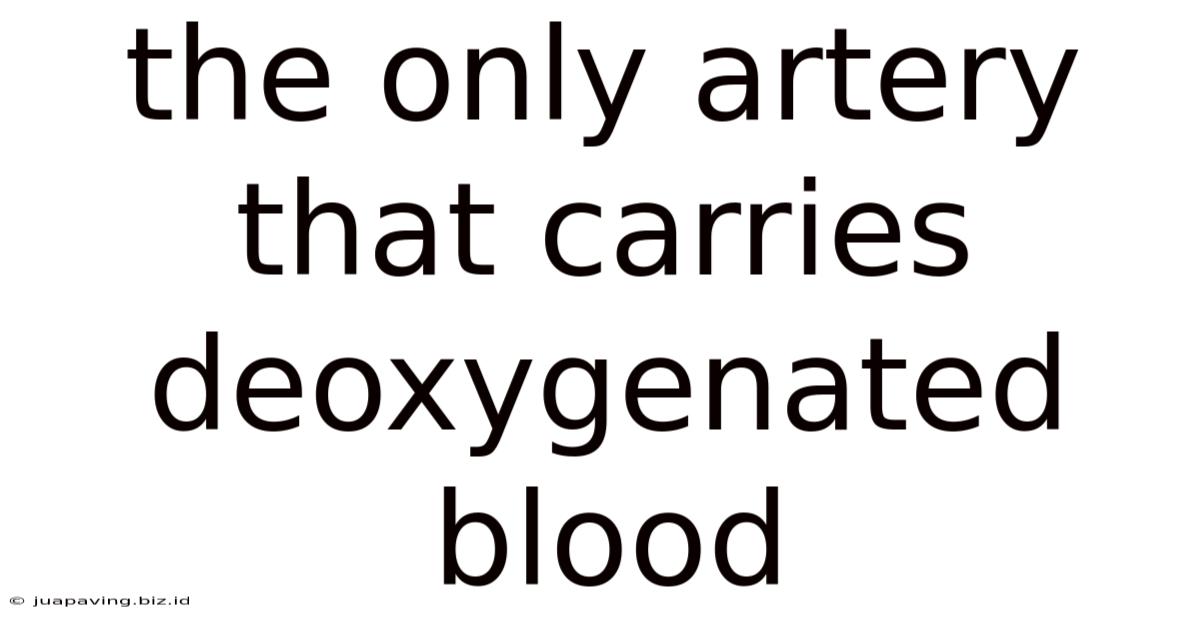 The Only Artery That Carries Deoxygenated Blood