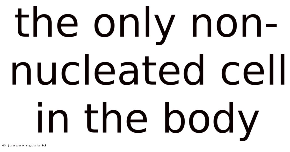 The Only Non-nucleated Cell In The Body