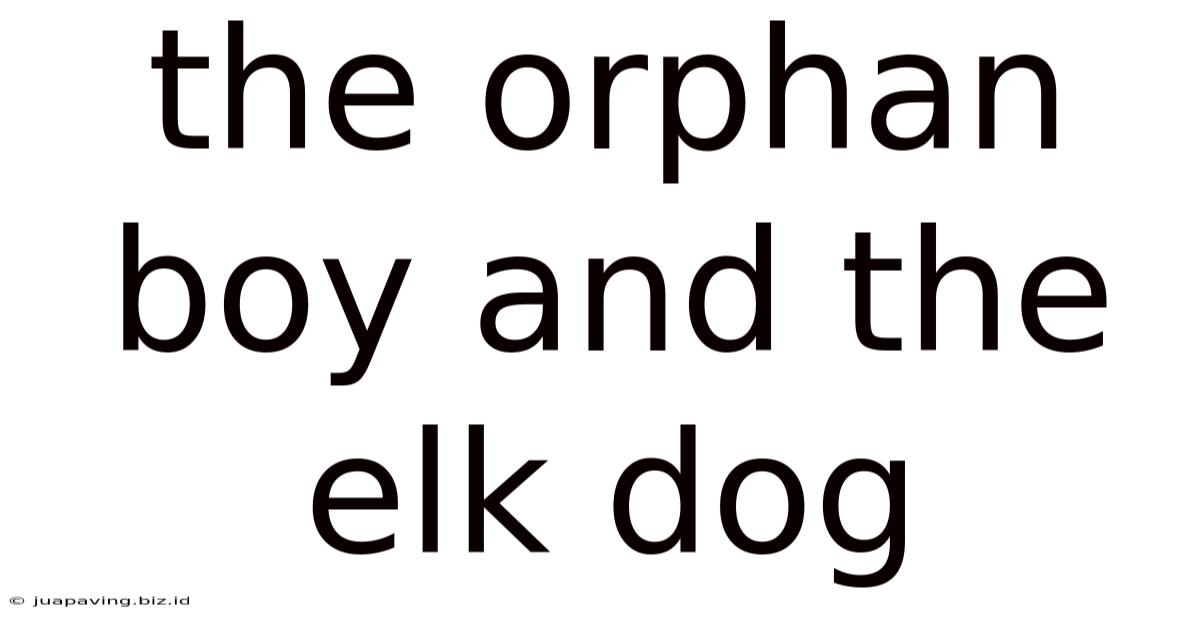 The Orphan Boy And The Elk Dog