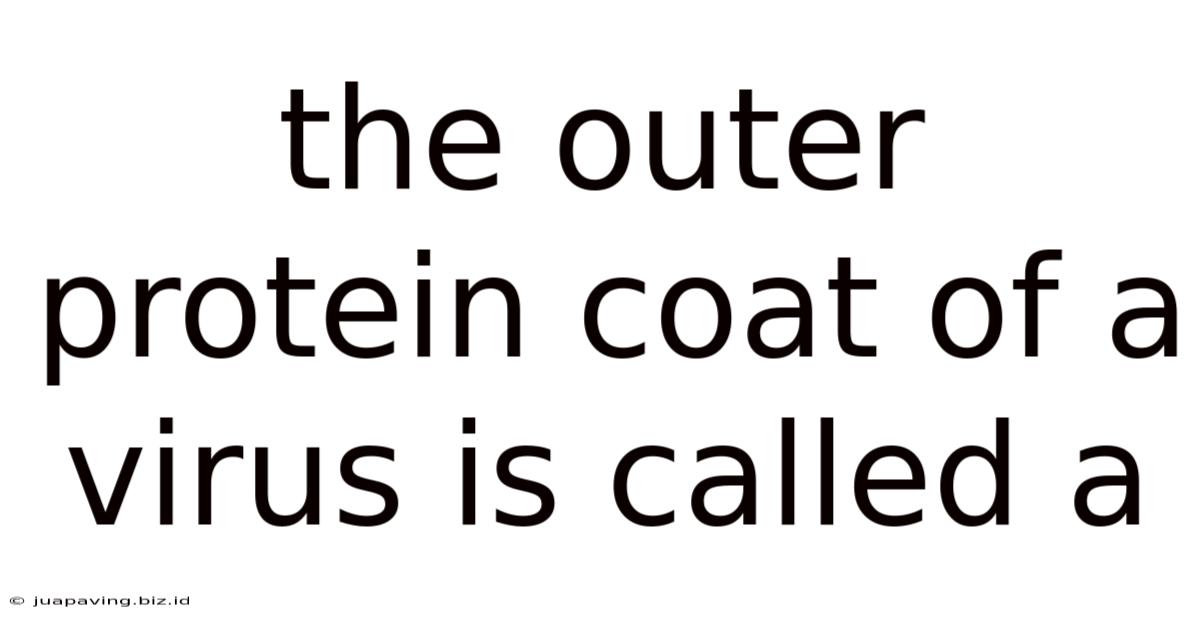 The Outer Protein Coat Of A Virus Is Called A