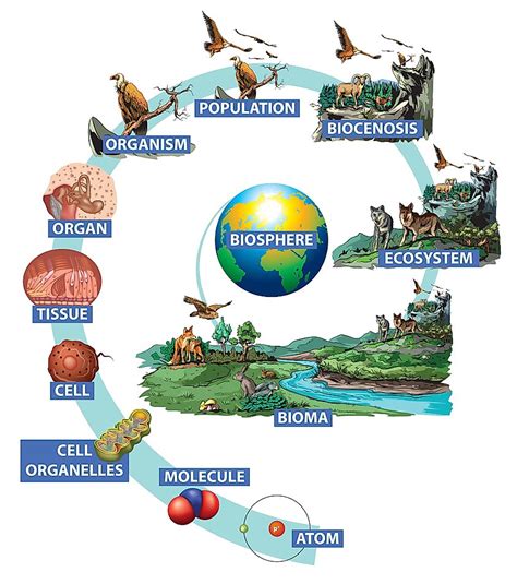 The Parts Of Earth Where Life Exists