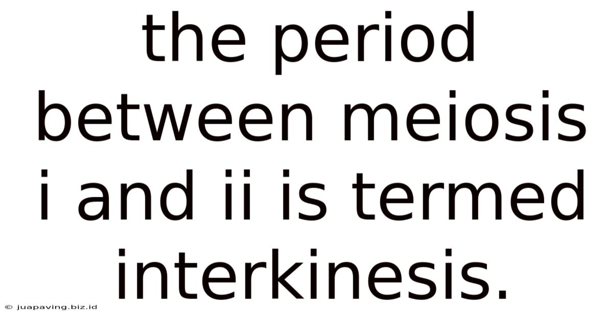 The Period Between Meiosis I And Ii Is Termed Interkinesis.