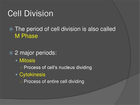 The Period Of Division Is Called