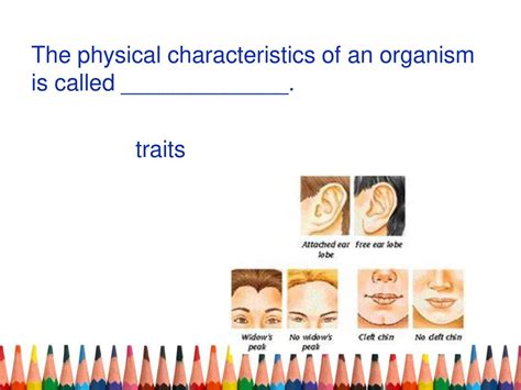 The Physical Characteristics Of An Organism Are Called Its