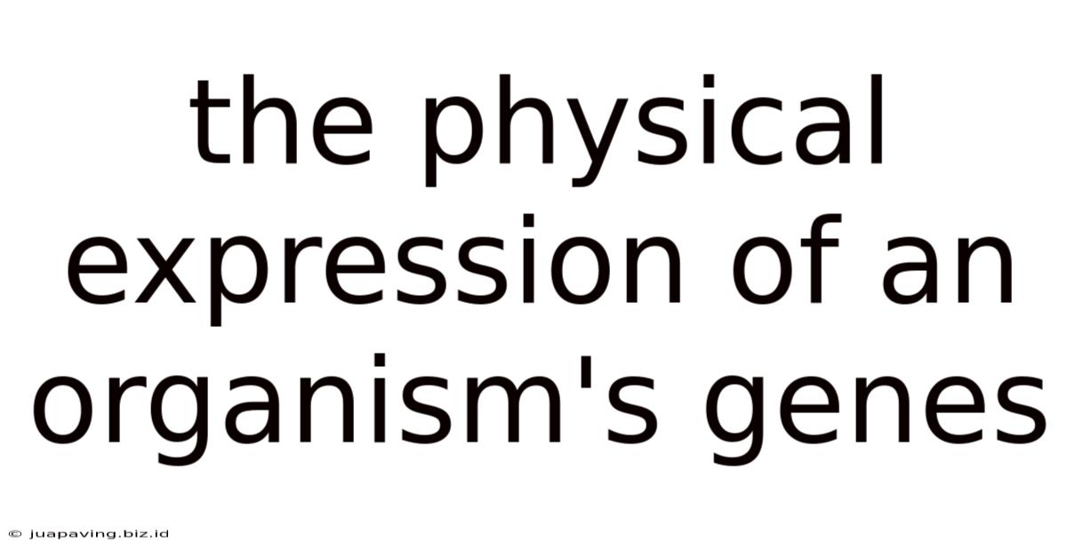 The Physical Expression Of An Organism's Genes