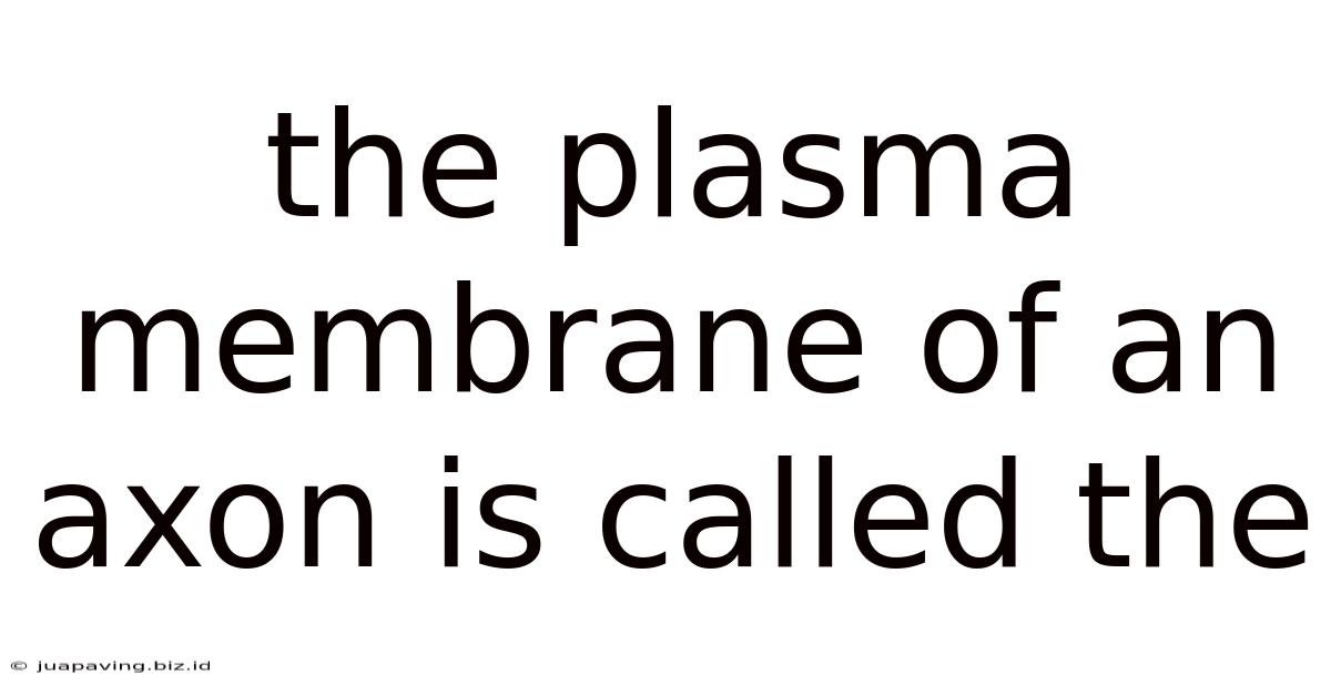 The Plasma Membrane Of An Axon Is Called The
