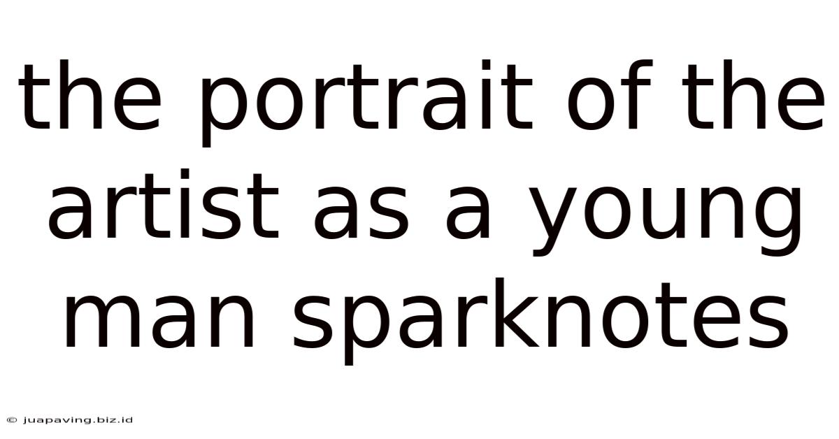The Portrait Of The Artist As A Young Man Sparknotes