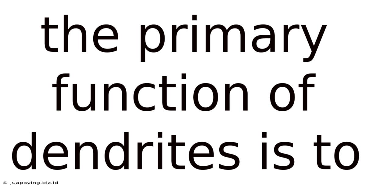 The Primary Function Of Dendrites Is To