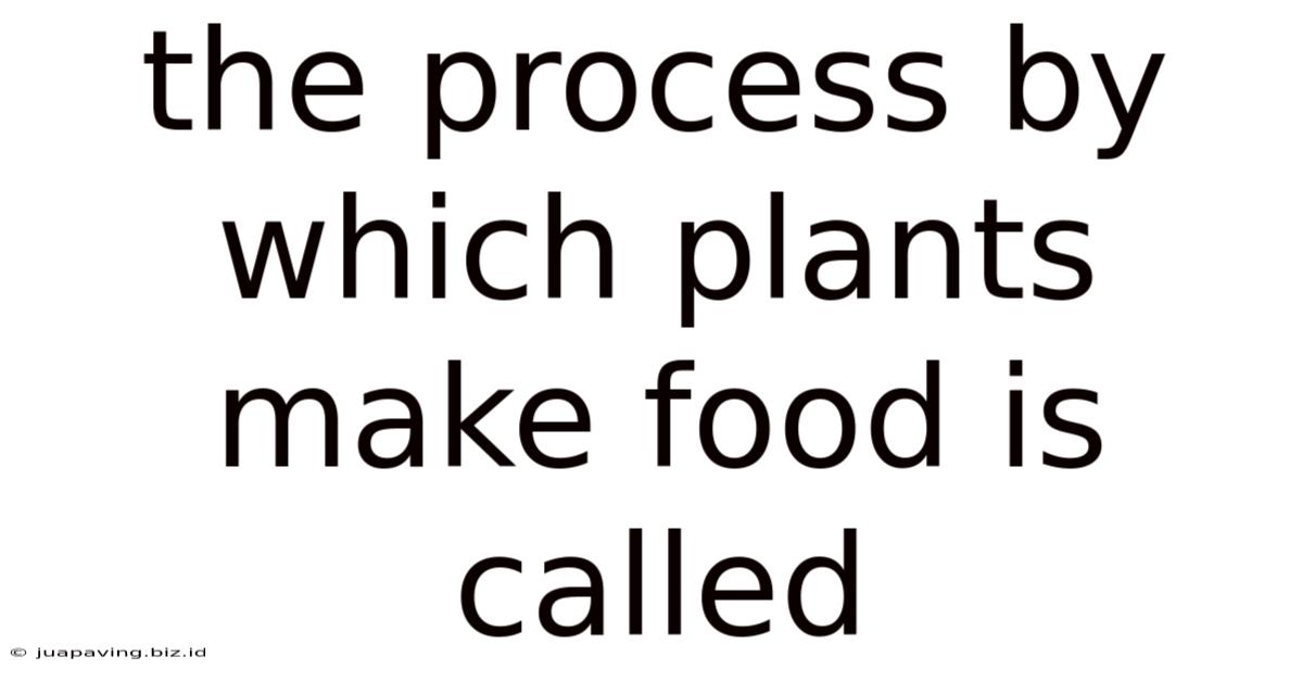 The Process By Which Plants Make Food Is Called