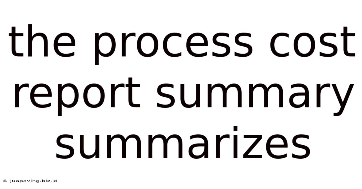 The Process Cost Report Summary Summarizes